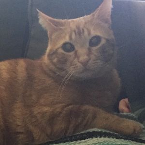 Meet your Posher, Charles